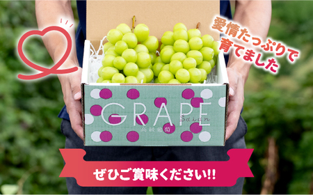 ＜2024年先行予約＞産地厳選シャインマスカット1.2kg～1.3kg（2房～3房）※沖縄・離島配送不可※ 106-003