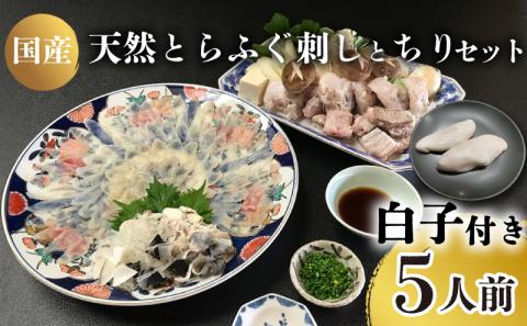 天然とらふぐ 刺身・ちり・白子付きセット 5人前 冷蔵