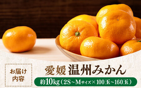 【先行予約】【12月上旬から順次発送】みかん 南柑20号 赤秀10kg（100玉から160玉）[AGAO007]みかんみかんみかんみかん