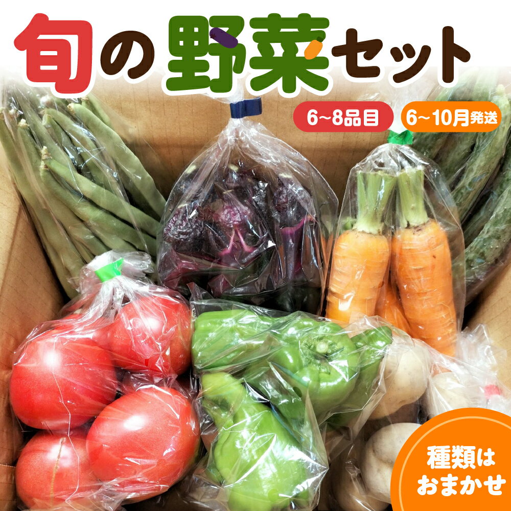 【ふるさと納税】 旬の野菜セット 「産直メロス」【6月以降順次発送】 野菜セット 詰め合わせ 詰合せ セット 国産 旬 おまかせ お楽しみ 野菜 直送 詰合 送料無料 青森 五所川原