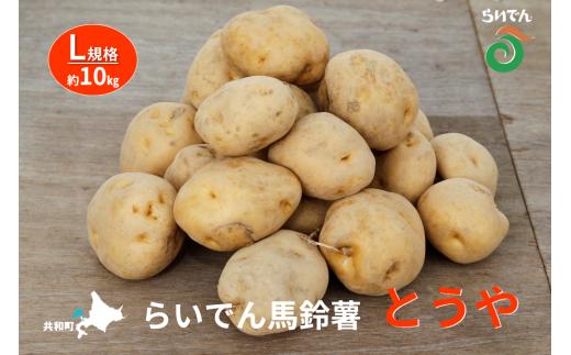 2025年 8月 出荷 先行予約 らいでん 馬鈴薯 とうや L 規格 約10kg