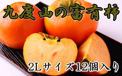 ≪柿の名産地≫九度山町の富有柿2Lサイズ12個入り ※2025年11月中旬～12月上旬頃に順次発送予定