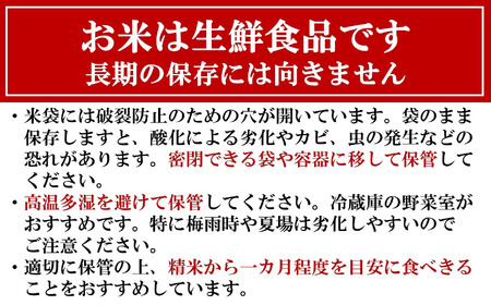 【令和5年産米】柏崎産 新之助 無洗米 15kg（5kg×3袋） [F341]