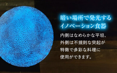 ルミナスシリーズ プレート (大) ブルー 【暗闇に輝く、卓上の新たな魔法】 多治見市 / 丸モ高木陶器 ガラス 皿 食器[TBA215]