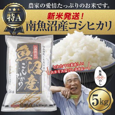 ふるさと納税 南魚沼市 【令和8年産 新米】 無地のし 南魚沼産 コシヒカリ 5kg (美味しいお米の炊き方ガイド付)
