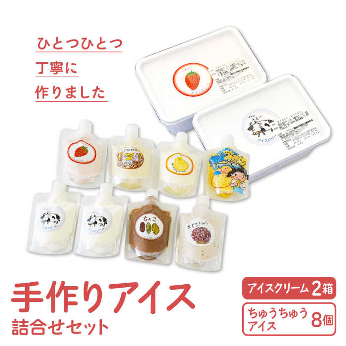 【ふるさと納税】【大容量！おやつにピッタリ♪】手作り アイス 詰め合わせ セット【佐賀西部コロニー白石作業所】 食べ比べ アイスクリーム ホームサイズ チューブ スイーツ 佐賀県 白石 [ICL003]