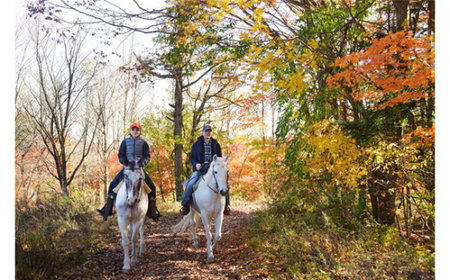 【乗馬体験チケット】カントリーセット  NSA001