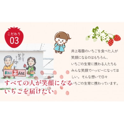 井上苺園　あまおとめ(270g×2パック)【V002540】【配送不可地域：離島・北海道・沖縄県】【1660699】