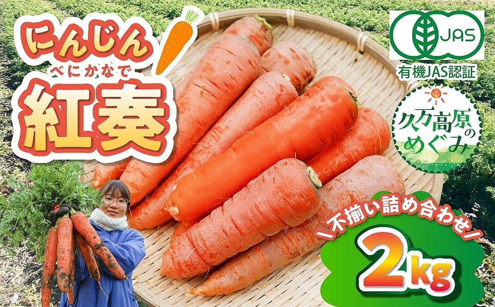 
                  【有機JAS認定】【先行予約】にんじん（紅奏）2kg サイズ不揃い｜ 人参 ニンジン ニンジンジュース 有機 JAS 高原野菜 久万高原町 ※離島への配送不可 ※2026年12月上旬～2027年2月上旬頃に順次発送予定
                