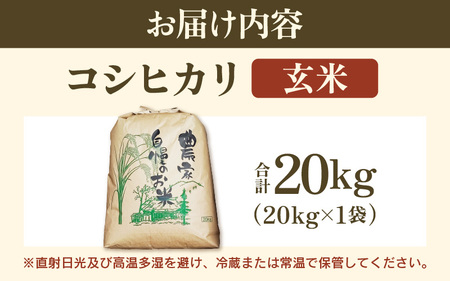 【先行予約】【令和7年産・新米】コシヒカリ 玄米 20kg / 米 こしひかり コシヒカリ 福井県 新米 一等米 玄米 あわら市 福井県 ※2025年9月下旬より順次発送予定 [aw096-d001]