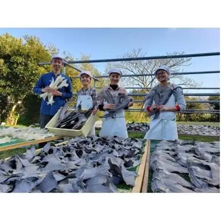 【エコ包装】「フカヒレ姿煮」大尾びれ2枚入り(530g×2枚)　尾びれ重さ約201-240g【配送不可地域：離島】【1493458】