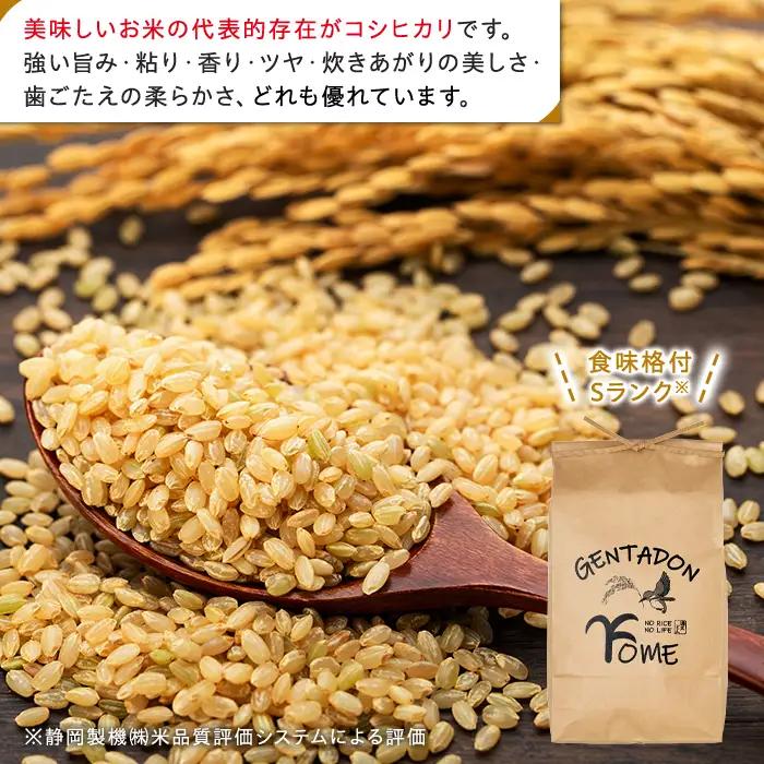 AB1-015 特別栽培米　コシヒカリ（玄米）30kg