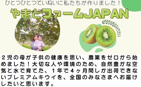 ＜12月頃発送＞奈良県 室生産 こだわり プレミアムキウイフルーツMサイズ17個×2箱入追熟処理済／ やまとファームJAPAN  果物 旬の食材 お取り寄せ お土産 贈答品 化学肥料不使用 特別栽培 