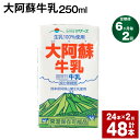 【ふるさと納税】【定期便】【6ヶ月毎2回】大阿蘇牛乳 250ml 24本 計48本（24本×2回） 牛乳 ミルク 成分無調整牛乳 乳飲料 乳性飲料 熊本県産 国産 九州 熊本県 菊池市 送料無料