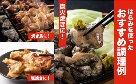 若鶏はらみ3kgセット【TRT12】