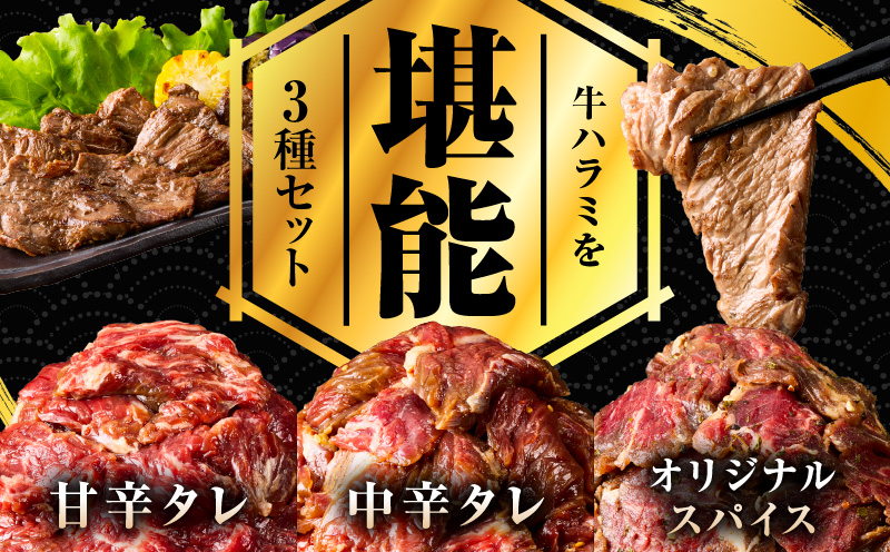 【満足牛ハラミ】3種セット （甘辛タレ漬け・中辛タレ漬け・オリジナルスパイス仕込み）  合計3kg 【味付け ハラミ 小分け 焼くだけ 簡単調理 BBQ 牛肉 250g×12P】
