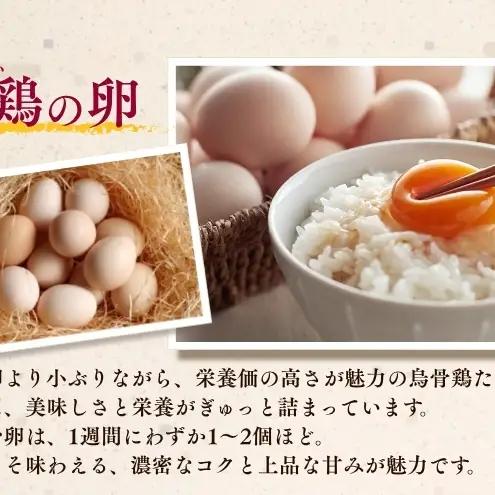 鳥骨鶏卵（20個）とプリン（3個）のセット たまご 烏骨鶏 プリン スイーツ お菓子 静岡県 森町