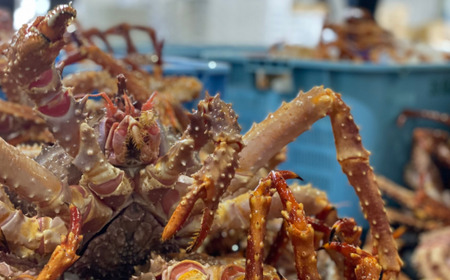 【極生食感】イバラガニ トロ刺し《200g×2p》約4～5人前 ABJ020