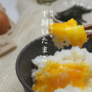 『定期便』四ツ葉農場の霜降りたまご「きみがスター」30個全6回＋親鳥1羽付き YO019_006s6