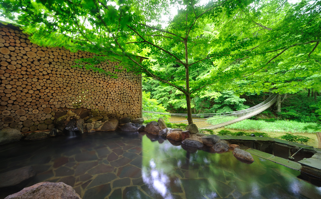 新鉛温泉 結びの宿  愛隣館  日帰り 入浴券 （10枚セット） 【1267】