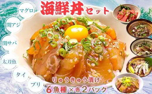 
            豊後絆屋 りゅうきゅう(6種×2食セット) 大分郷土料理 ふるさと納税 魚 冷凍 加工品 惣菜 おすすめ おいしい 刺身 詰め合わせ おせち セット 産地直送 国産 大分県 海鮮 漬け 真空パック 小分け 惣菜 人気 海鮮丼 漬け丼 鮪 マグロ まぐろ 関アジ 関あじ 関サバ 関さば  太刀魚 タチウオ たちうお 鯛 タイ たい 鰤 ブリ ぶり 母の日 父の日 ＜101-005_5＞
          