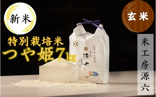 【令和8年産・玄米】米工房源六が作る特別栽培米つや姫7kg　※10月中旬ごろから順次発送開始