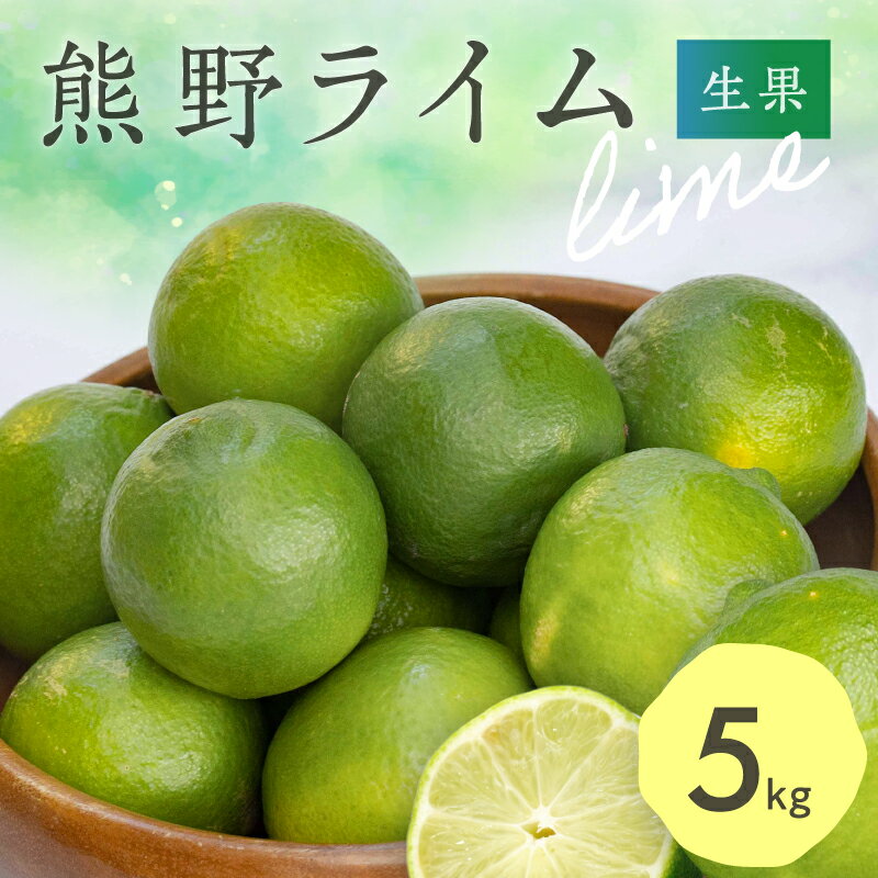 【ふるさと納税】ブライトライフ 熊野ライム 5kg（生果） │ ライム 果汁 酸味 ライムサワー チューハイ 柑橘 果物 生果 種なし 珍しい くだもの 果実 国産 ビタミン 5kg