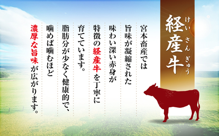 【迷ったらこれ！】九州産黒毛和牛 国産豚 切り落とし 計1kg（約500gずつ） ＜宮本畜産＞[CFA017] 牛肉 肉 豚 国産豚 和牛切り落とし 和牛 切り落とし 牛 豚 国産豚  切り落とし 黒