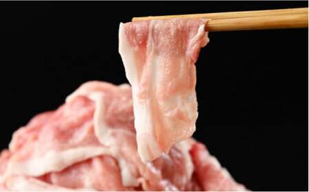 【定期便3ヶ月】和豚もちぶた 切り落し4キロセット（400g×10パック） 豚肉定期便 国産 肉 豚肉 冷凍 小分け ※着日指定不可