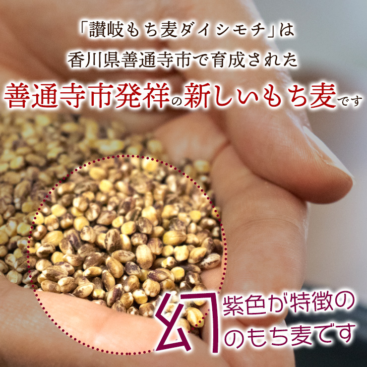 【生産者応援企画！】讃岐もち麦「ダイシモチ」8kg/保存に便利なジップ付き