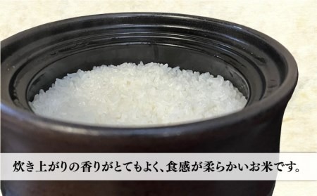 【令和6年産新米】伊都の米 5kg 糸島市 / 納富米穀店 [ARL001] 白米 玄米 お米