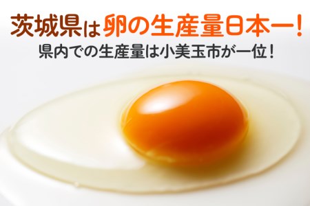 2回定期便 卵 計100個 ギフト用化粧箱50個（45＋補償5個）入り ×2回発送 15-D