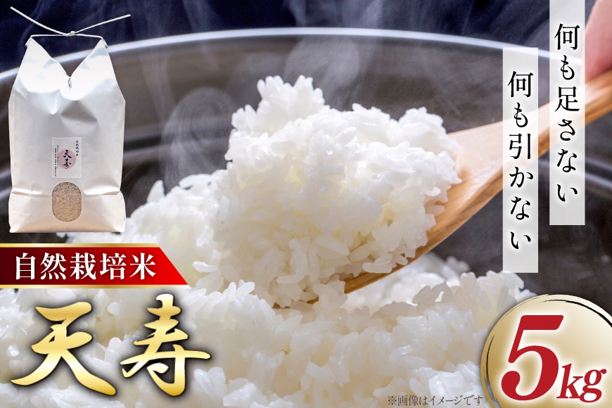 
                  米 令和7年 天寿 5kg 【期間限定発送】 [天恵農園 愛知県 江南市 ko23btu810000] 精米 お米 こめ コメ 白米 ブランド米 国産 ご飯 ごはん おにぎり おむすび 自然栽培米
                