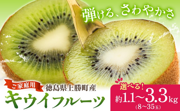 
                  キウイ キウイフルーツ 徳島県 上勝町産 ご家庭用 訳ありフルーツ 果物 スムージー ジャム デザート 先行予約 "ゼロウェイストの山里からお届け。上勝町産キウイ"徳島県上勝町 1.1kg 2.2kg 3.3kg 選べる容量《2026年12月下旬-2027年3月中旬頃出荷》
                