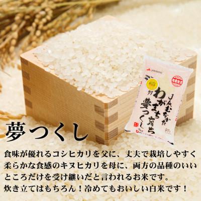 ふるさと納税 那珂川市 令和7年産 福岡県産米 食べ比べ(夢つくし・元気つくし) 計20kg 各5kg×2 那珂川市 |  | 01