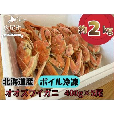 ふるさと納税 広尾町 北海道産ボイルオオズワイガニ400g×5尾　合計2kg以上(AM0011)