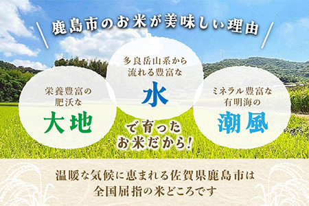 B-120 令和7年産 佐賀県産 さがびより 夢しずく 玄米 合計10kg (5kg×2種) 【お米マイスター厳選】