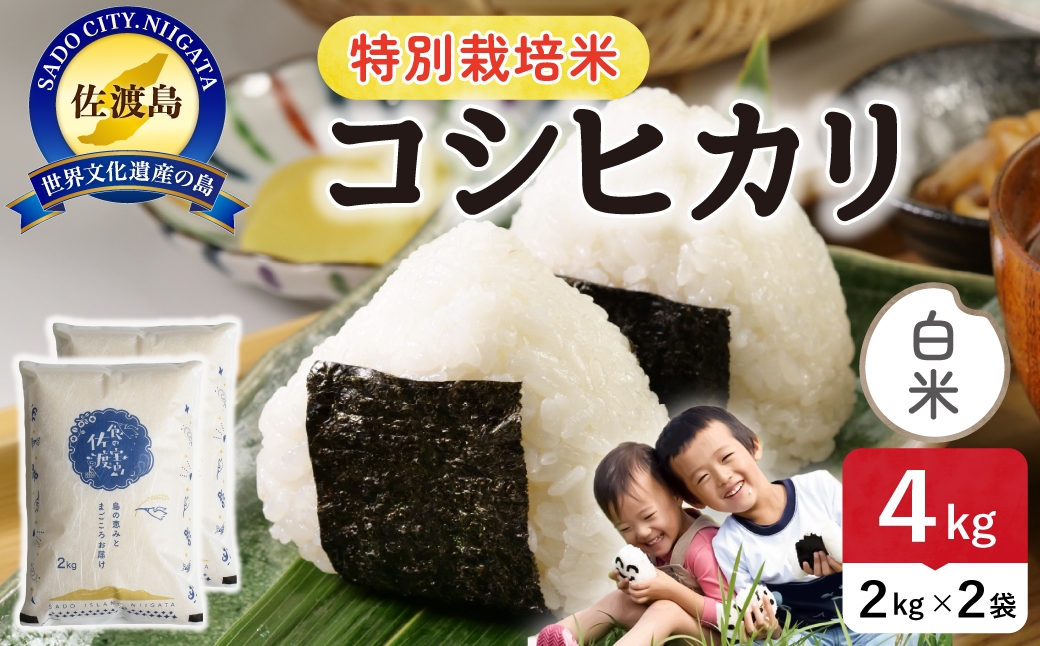 
                  令和8年産 佐渡島産コシヒカリ 白米4kg 特別栽培米 | 新潟県産コシヒカリ 新潟産コシヒカリ 佐渡産コシヒカリ コシヒカリ 特別栽培米 お米 米 白米 精米 おこめ コメ 4キロ にいがた さど 新潟県 佐渡市
                