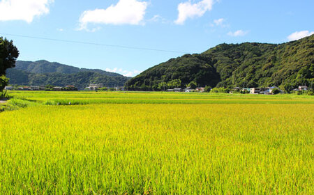 【令和6年産新米・10月配送】ふくい農園のおいしいお米（ヒノヒカリ15kg）予約 受付 低温 貯蔵 酵素 有機質 肥料 贈答 精米 白米 プレゼント 炒飯 弁当 チャーハン カレー