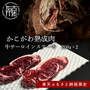 【ふるさと納税】★ 楽天限定返礼品 ★肉のうまみの新境地【かこがわ熟成肉】牛サーロインステーキ200g×2〈牛 牛肉 熟成肉 にく 国産 サーロイン ステーキ 送料無料 美味しい お取り寄せ おすすめ〉