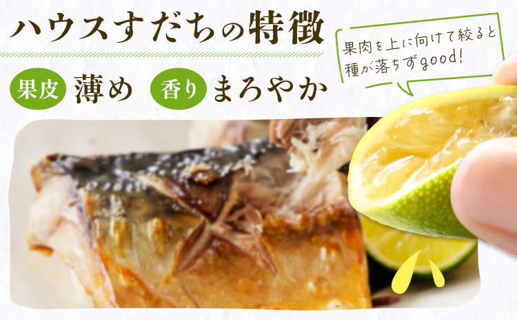佐那河内名産 ハウス栽培 すだち 1kg ハウスすだち スダチ 一般財団法人さなごうち《6月中旬-9月上旬頃出荷》徳島県 佐那河内村 送料無料 スダチ ハウス 魚 豆腐 冷奴 焼き魚 天ぷら 刺身 徳