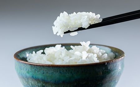 新米　霧ヶ峰高原からの美しい伏流水が育んだお米「信州茅野　米沢吉田米」精米 10kg(5kg×2袋)_ 精米 米    コシヒカリ 米 こしひかり_【1418553】