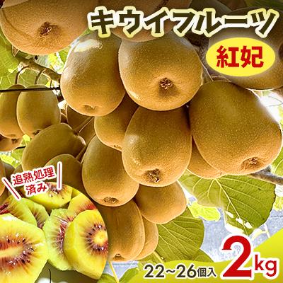 ふるさと納税 東久留米市 【先行受付】キウイフルーツ(紅妃) 2kg
