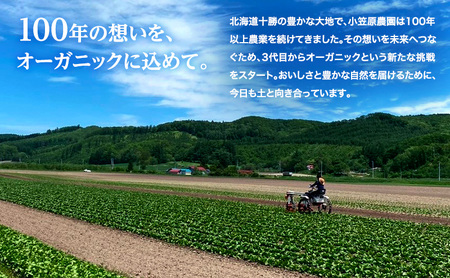 小笠原農園の有機玉ねぎ5kg【北海道十勝幕別】《2025年秋出荷先行予約》【 野菜 玉ねぎ たまねぎ パワーウルフ 北海道 幕別町 】