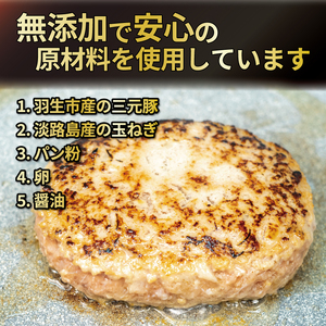 ハンバーグ 三元豚 使用 2.4kg 200g 12個入 化学調味料 不使用 ﾊﾝﾊﾞｰｸﾞ保存料 無添加 ﾊﾝﾊﾞｰｸﾞ 埼玉県 羽生市 ﾊﾝﾊﾞｰｸﾞ ポーク 豚 牛 肉 合挽き ﾊﾝﾊﾞｰｸﾞ 