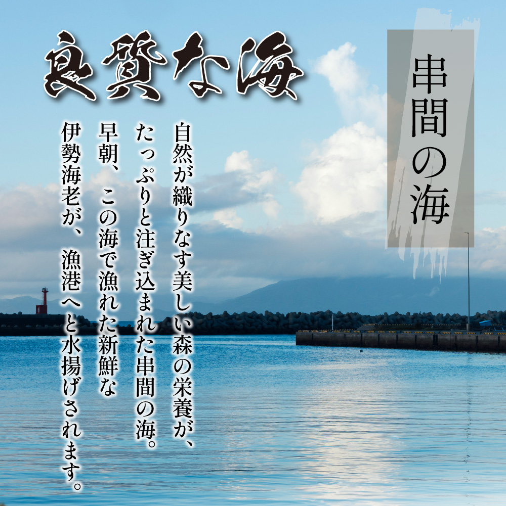 L-E1 ＜先行予約・期間限定＞串間市産！天然イセエビ 3kg以上 鮮度抜群の伊勢海老を食卓へお届け【串間市漁業協同組合】【L-E1】