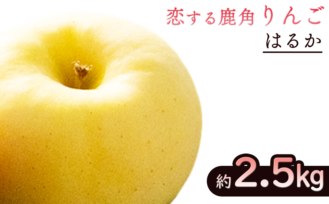 
《先行予約》令和6年産 秋田県鹿角産りんご「はるか」約2.5kg【恋する鹿角カンパニー】●2024年12月中旬発送開始　かづのりんご 食感 果汁 さっぱり リンゴ 完熟 旬 県産りんご 林檎 お中元 お歳暮 贈り物 お見舞い グルメ ギフト 故郷 秋田 あきた 鹿角市 鹿角
