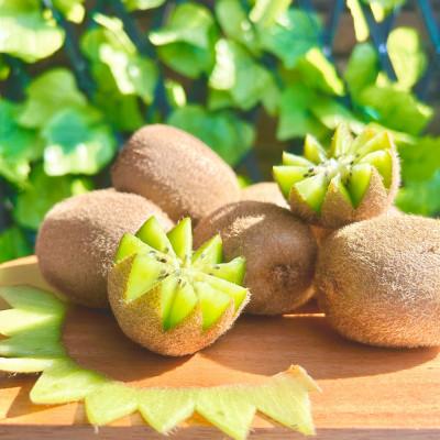 ふるさと納税 南アルプス市 【2026年発送】山梨県南アルプス市産　グリーンキウイ　約5kg |  | 01