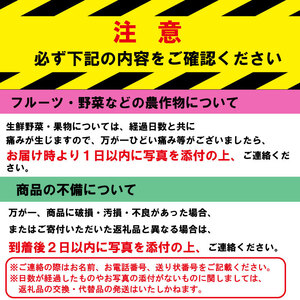 トマト 大玉 3kg 2カ月 定期便 大玉トマト サラダ トマトの国  トマト トマト トマト