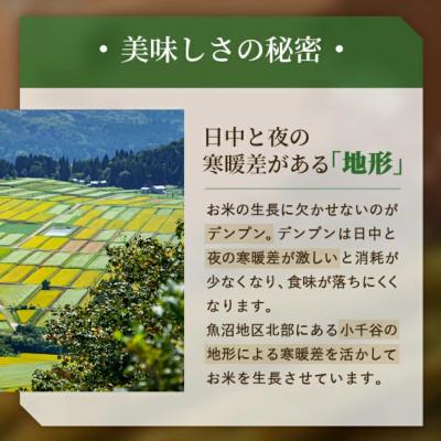 ふるさと納税 小千谷市 【毎月定期便】新潟県 魚沼産 コシヒカリ 精米5kg お申込み後に精米 おぢや米全8回 |  | 03